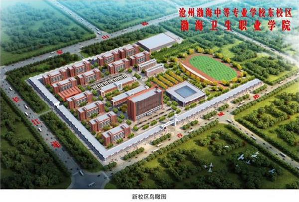 滄州學幼師為什么選擇滄州渤海專修學院？
