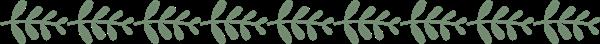 石家莊平安醫(yī)學(xué)中等專業(yè)學(xué)校地址在哪？