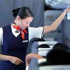 航空服務(wù)（票務(wù)、安檢方向）、航空乘務(wù)定向委培